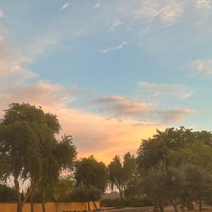 Meet your Posher, Ellie